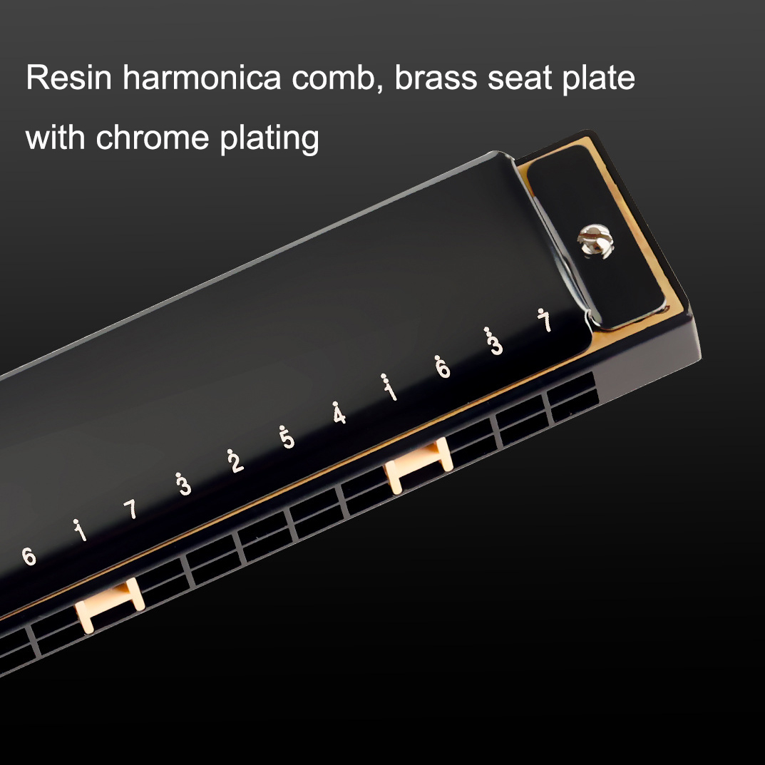Guoguang Tremolo Harmonica 24  - Harmonica 10 Hole ulasan dan harga