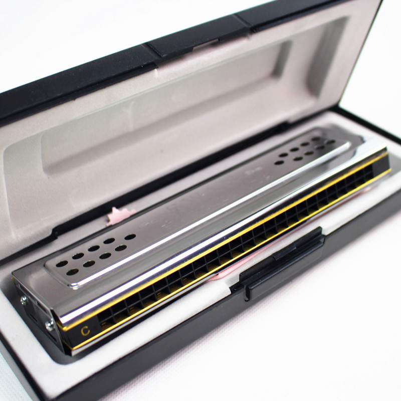 Both Sides Swan Harmonica Trem - Harmonica 10 Hole ulasan dan harga